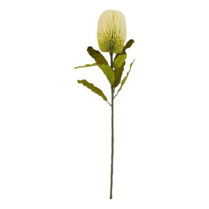 productHero-SPOTWF-BP80613488-white