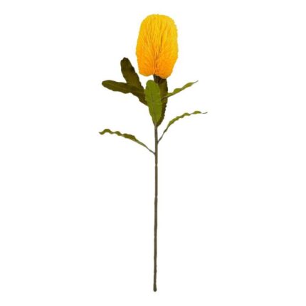 productHero-SPOTWF-BP80613488-yellow