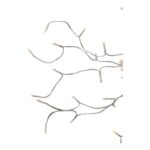 productHero-SPOTWF-BP80615009-white-5