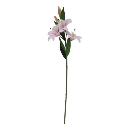 productHero-SPOTWF-BP80615849-pink