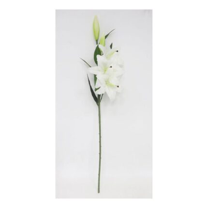 productHero-SPOTWF-BP80615849-white