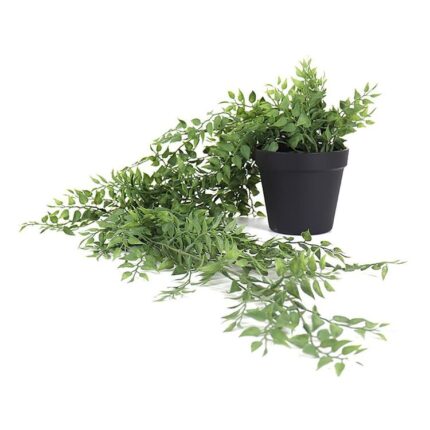 productHero-SPOTWF-BP80615859-green