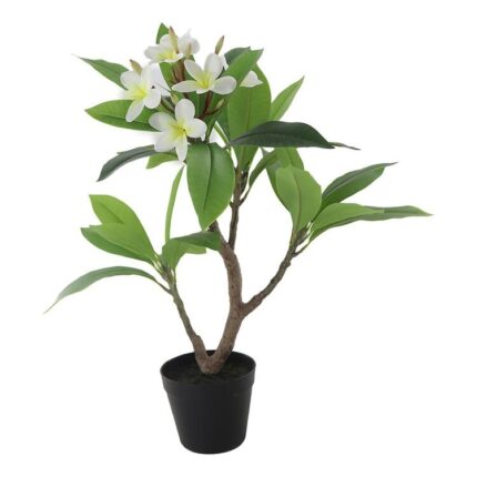 productHero-SPOTWF-BP80615862-green
