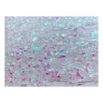 productHero-SPOTWF-BP80617842-iridescent-3
