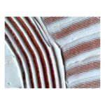 productHero-SPOTWF-BP80617847-clear-2