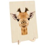 productHero-SPOTWF-BP80626798-timbers-3
