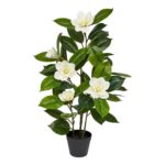productHero-SPOTWF-BP80632800-green