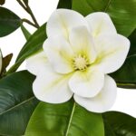 productHero-SPOTWF-BP80632800-green-2