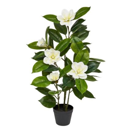 productHero-SPOTWF-BP80632800-green