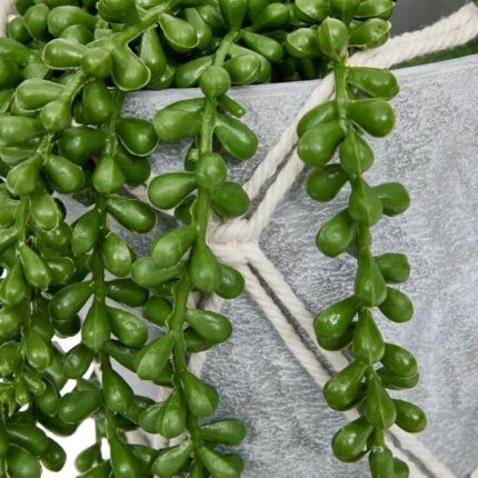 productHero-SPOTWF-BP80632801-green-2