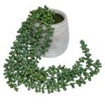 productHero-SPOTWF-BP80632801-green-9