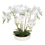 productHero-SPOTWF-BP80632822-white