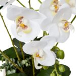 productHero-SPOTWF-BP80632822-white-2