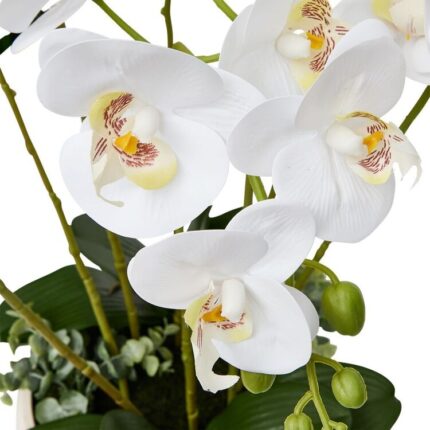 productHero-SPOTWF-BP80632822-white-2