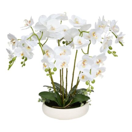 productHero-SPOTWF-BP80632822-white