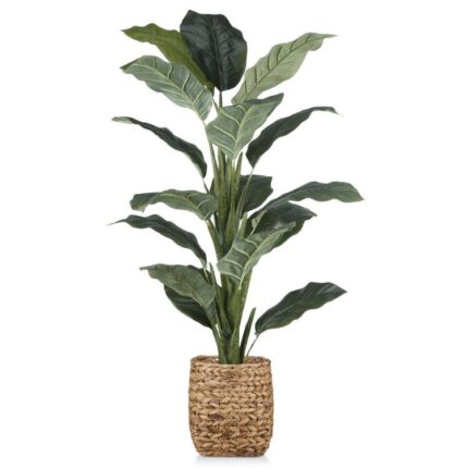 productHero-SPOTWF-BP80638116-green