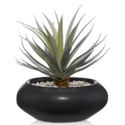 productHero-SPOTWF-BP80638196-green