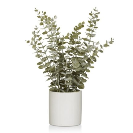 productHero-SPOTWF-BP80638198-green