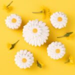 productHero-SPOTWF-BP80643895-daisy-3