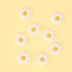 productHero-SPOTWF-BP80643895-daisy-4
