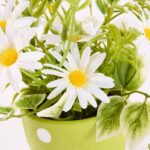 productHero-SPOTWF-BP80648801-green-2