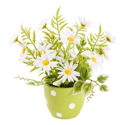 productHero-SPOTWF-BP80648801-green