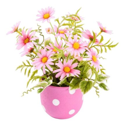 productHero-SPOTWF-BP80648801-pink