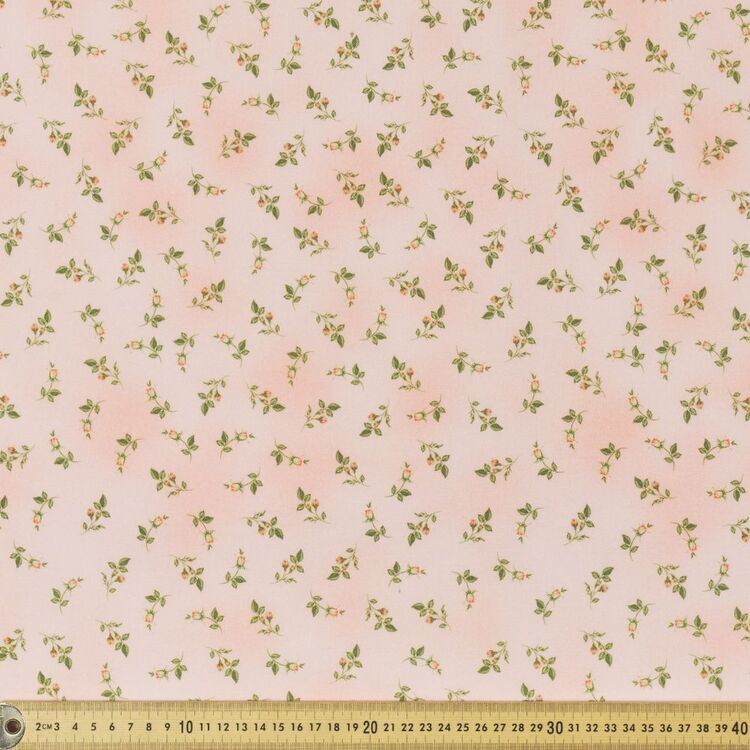 productHero-SPOTWF-BP80650911-coral productHero-SPOTWF-BP80650911-coral