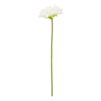 productHero-SPOTWF-BP80653122-white