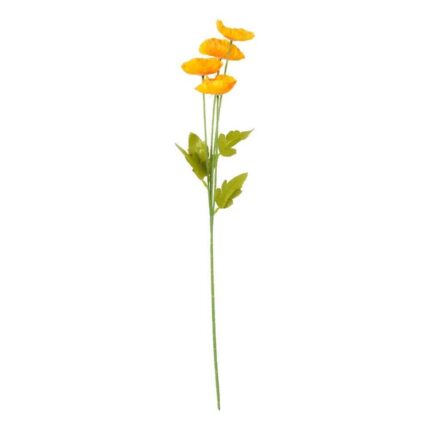 productHero-SPOTWF-BP80653129-orange