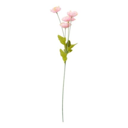 productHero-SPOTWF-BP80653129-pink