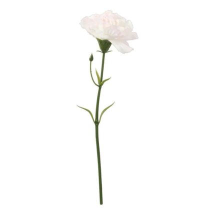 productHero-SPOTWF-BP80653144-pink