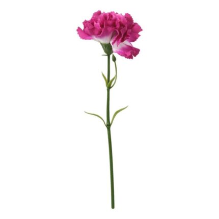 productHero-SPOTWF-BP80653144-purple