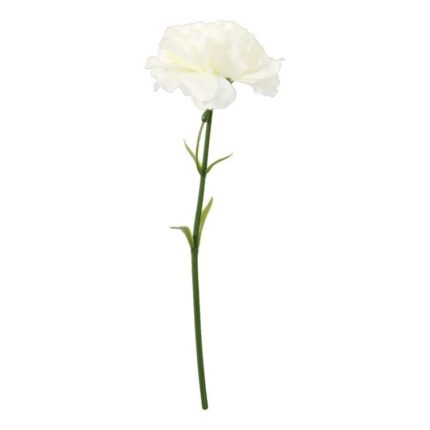 productHero-SPOTWF-BP80653144-white