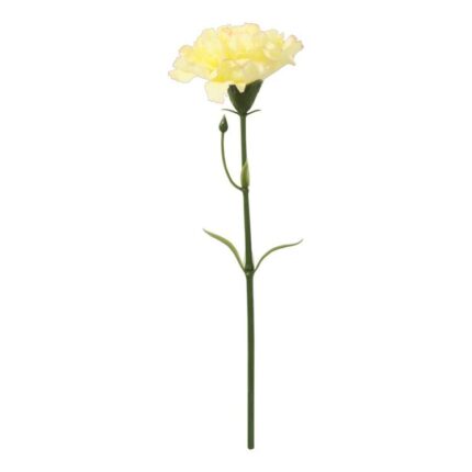 productHero-SPOTWF-BP80653144-yellow