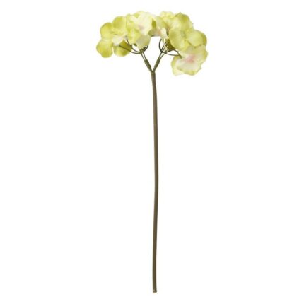 productHero-SPOTWF-BP80653154-green