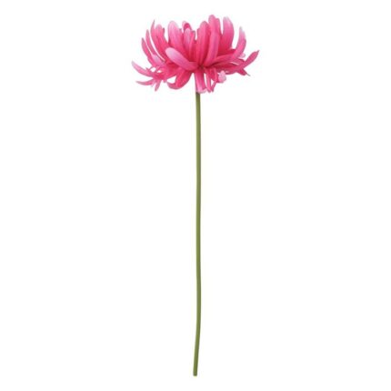 productHero-SPOTWF-BP80653159-pink