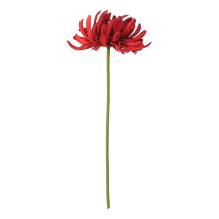productHero-SPOTWF-BP80653159-red