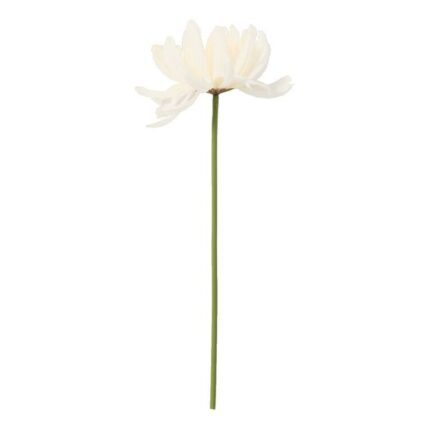 productHero-SPOTWF-BP80653159-white