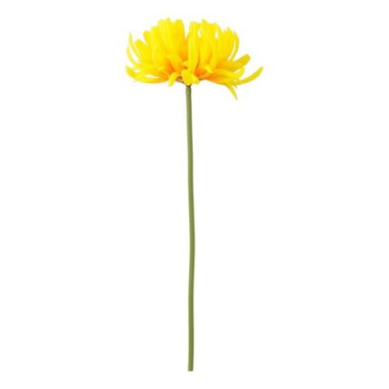 productHero-SPOTWF-BP80653159-yellow