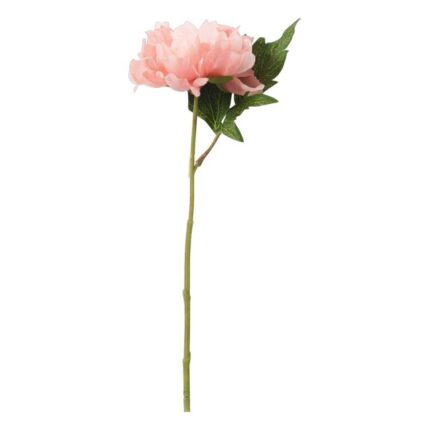 productHero-SPOTWF-BP80653164-peach