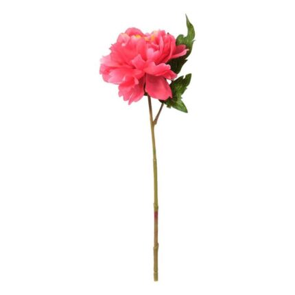 productHero-SPOTWF-BP80653164-rose
