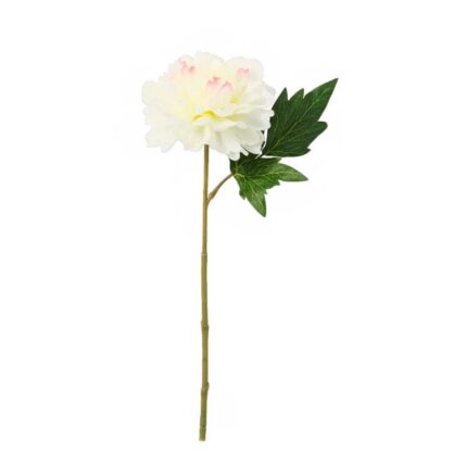 productHero-SPOTWF-BP80653164-white
