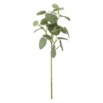 productHero-SPOTWF-BP80653169-green