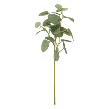productHero-SPOTWF-BP80653169-green