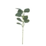 productHero-SPOTWF-BP80653181-green