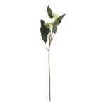 productHero-SPOTWF-BP80653181-green-2