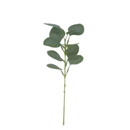 productHero-SPOTWF-BP80653181-green