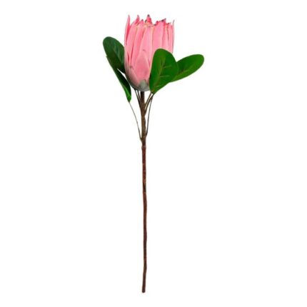 productHero-SPOTWF-BP80653792-pink