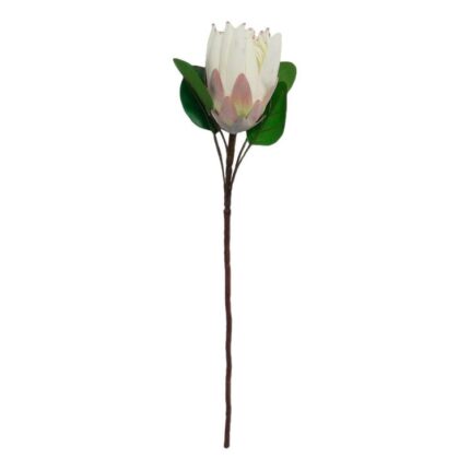 productHero-SPOTWF-BP80653792-white
